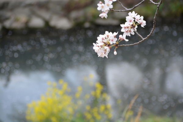 f:id:gzutetsu:20160402142427j:image f:id:gzutetsu:20160402142427j:image