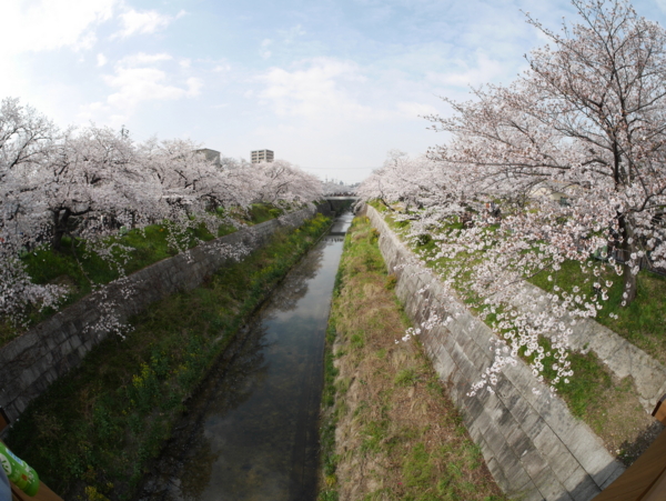 f:id:gzutetsu:20160402142428j:image f:id:gzutetsu:20160402142428j:image