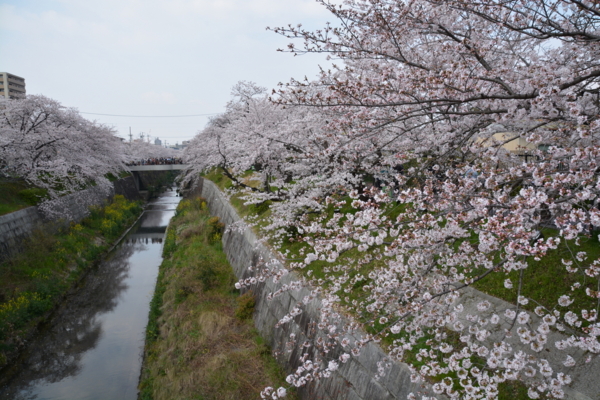 f:id:gzutetsu:20160402142848j:image f:id:gzutetsu:20160402142848j:image