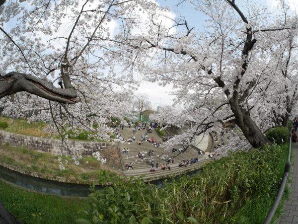 f:id:gzutetsu:20160402143246j:image f:id:gzutetsu:20160402143246j:image