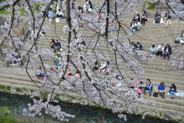 f:id:gzutetsu:20160402143939j:image f:id:gzutetsu:20160402143939j:image
