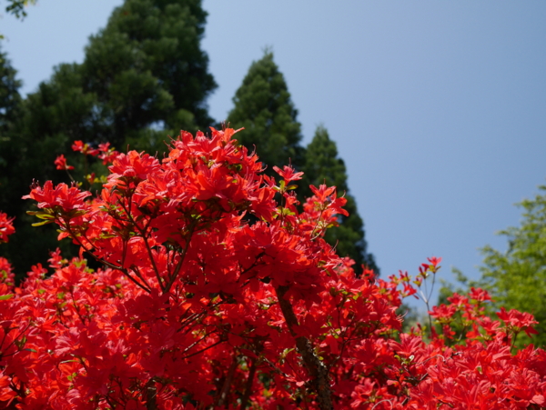 f:id:gzutetsu:20160501101158j:image f:id:gzutetsu:20160501101158j:image