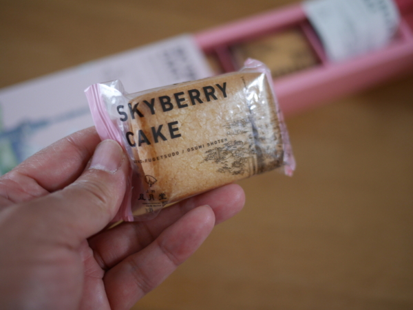 f:id:gzutetsu:20160503153126j:image