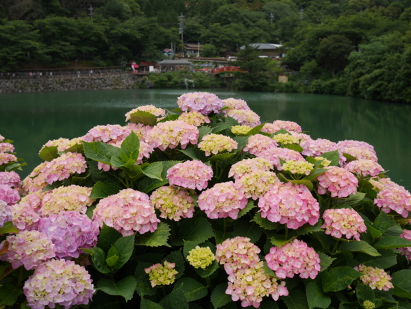 f:id:gzutetsu:20160604124708j:image