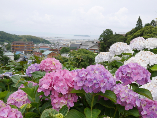 f:id:gzutetsu:20160604124810j:image