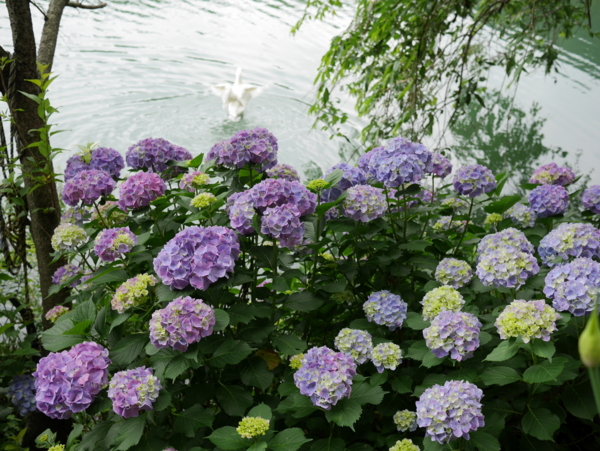 f:id:gzutetsu:20160604125852j:image