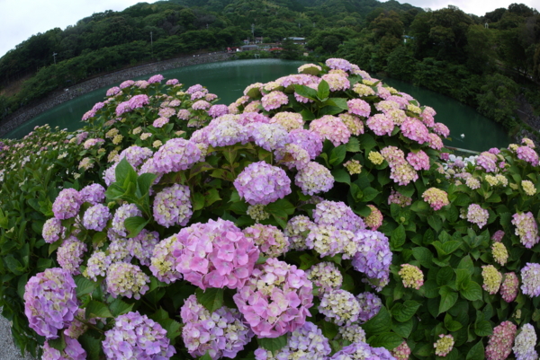 f:id:gzutetsu:20160604130006j:image