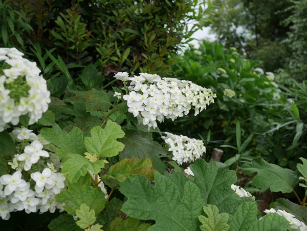 f:id:gzutetsu:20160604130047j:image