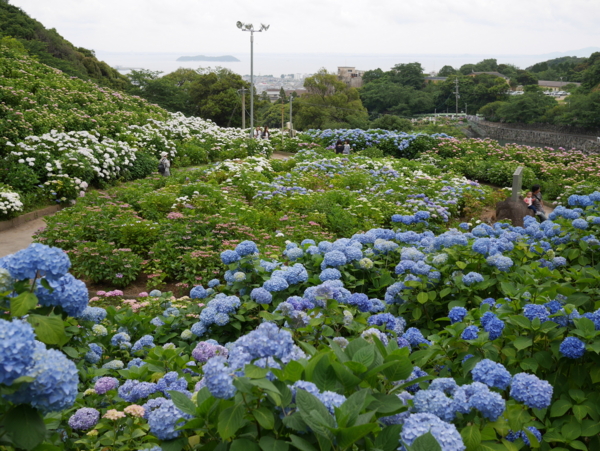 f:id:gzutetsu:20160604132035j:image