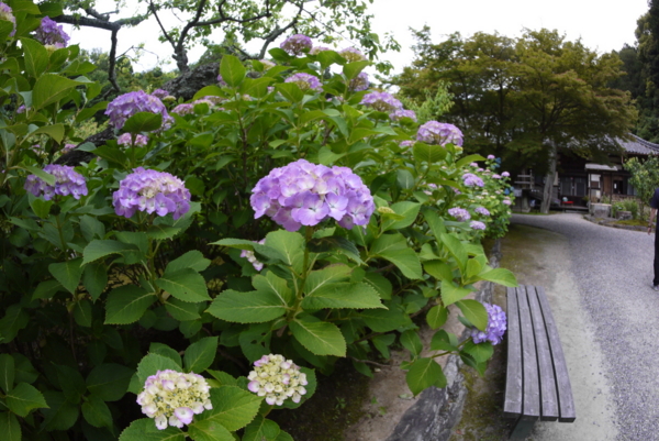 f:id:gzutetsu:20160604145747j:image