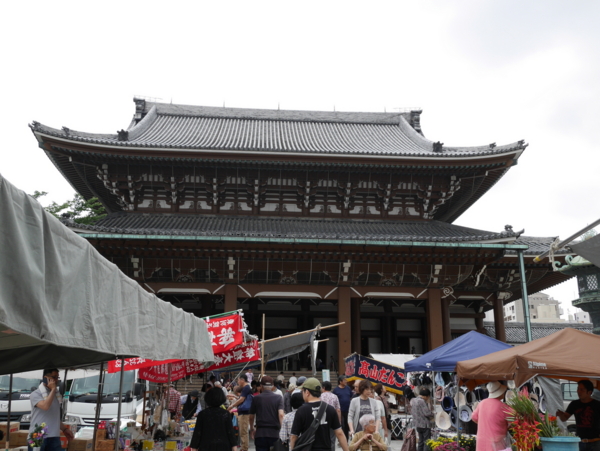f:id:gzutetsu:20160612112612j:image f:id:gzutetsu:20160612112612j:image