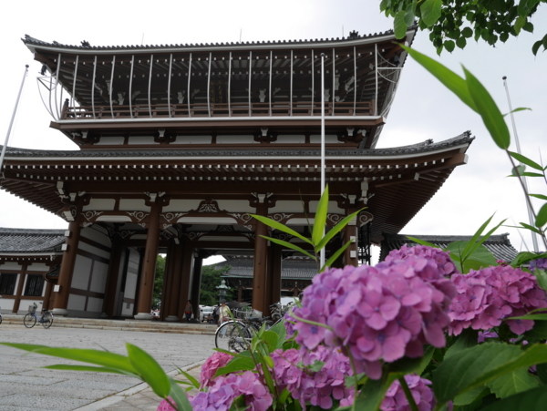 f:id:gzutetsu:20160612112739j:image f:id:gzutetsu:20160612112739j:image