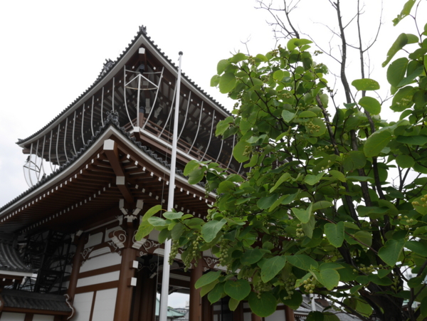 f:id:gzutetsu:20160612132907j:image f:id:gzutetsu:20160612132907j:image