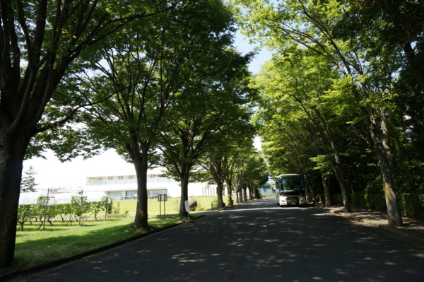 f:id:gzutetsu:20160807133837j:image f:id:gzutetsu:20160807133837j:image