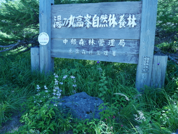 f:id:gzutetsu:20160808095836j:image
