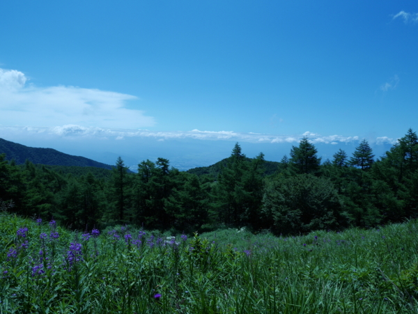 f:id:gzutetsu:20160808103744j:image