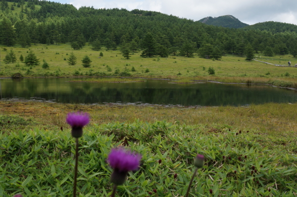 f:id:gzutetsu:20160808121154j:image