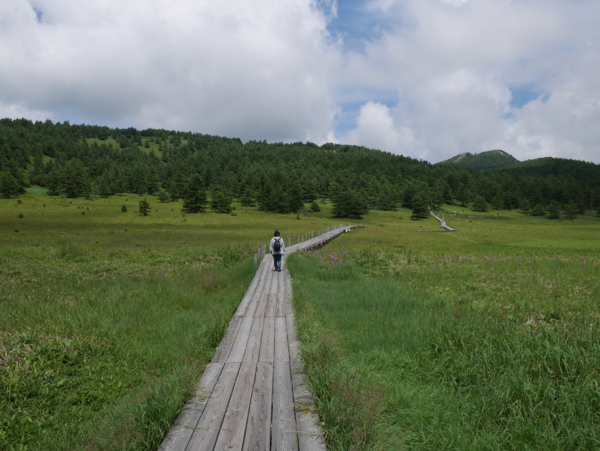 f:id:gzutetsu:20160808121942j:image