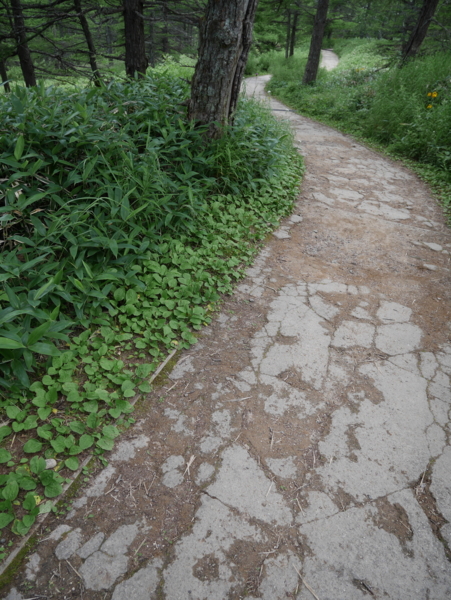 f:id:gzutetsu:20160808123630j:image