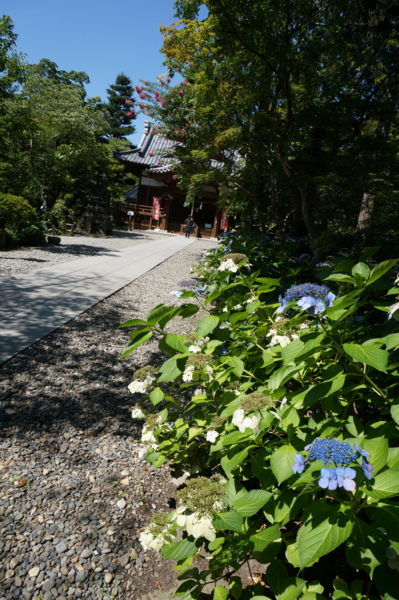 f:id:gzutetsu:20160809100134j:image