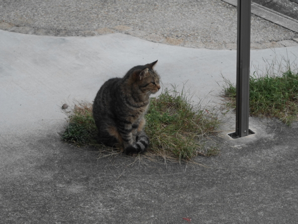 f:id:gzutetsu:20161008163658j:image