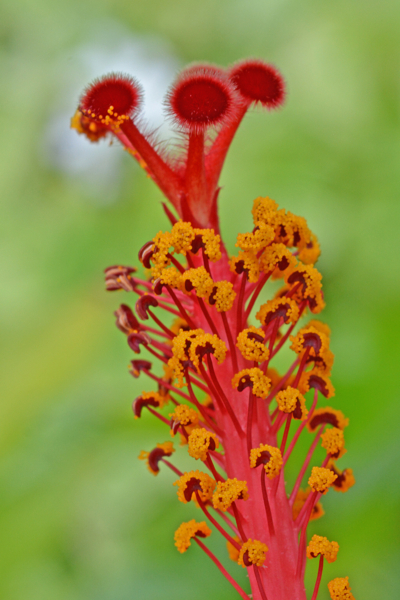 f:id:gzutetsu:20161022111429j:image
