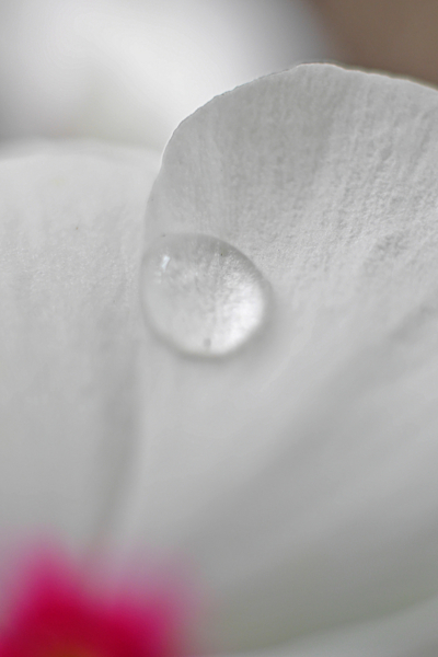 f:id:gzutetsu:20161022111627j:image