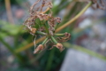 20161023164718
