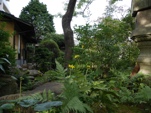 f:id:gzutetsu:20161030152321j:image