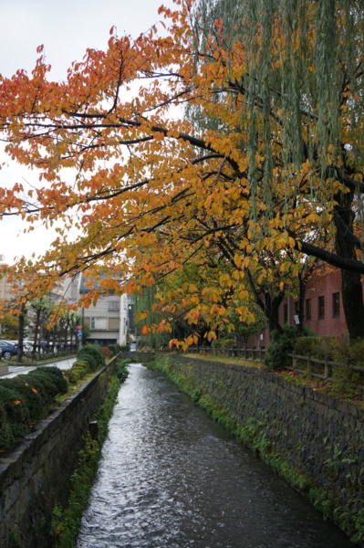 f:id:gzutetsu:20161109095201j:image