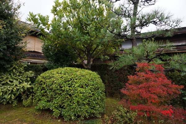 f:id:gzutetsu:20161109100101j:image