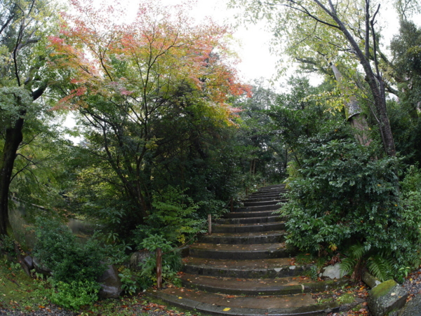 f:id:gzutetsu:20161109101106j:image