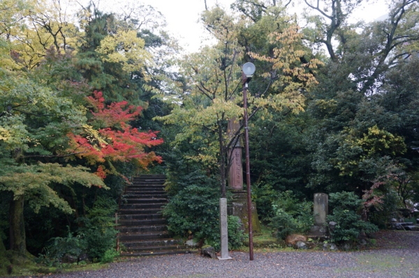 f:id:gzutetsu:20161109101314j:image