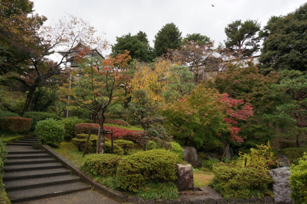 f:id:gzutetsu:20161109103655j:image