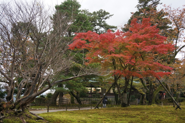 f:id:gzutetsu:20161109133406j:image