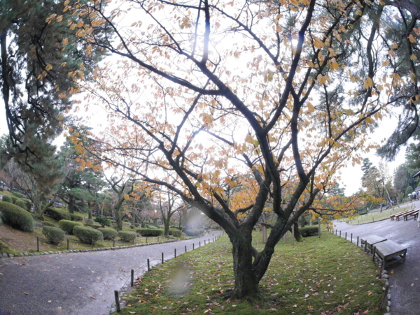 f:id:gzutetsu:20161109135128j:image