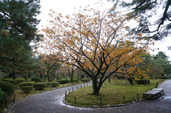 f:id:gzutetsu:20161109135646j:image