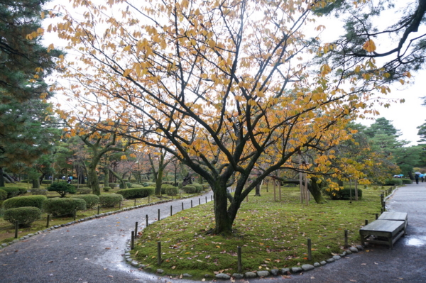 f:id:gzutetsu:20161109135653j:image