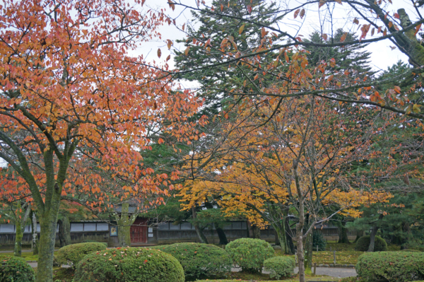 f:id:gzutetsu:20161109140109j:image