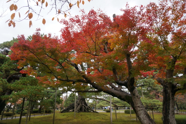 f:id:gzutetsu:20161109140235j:image