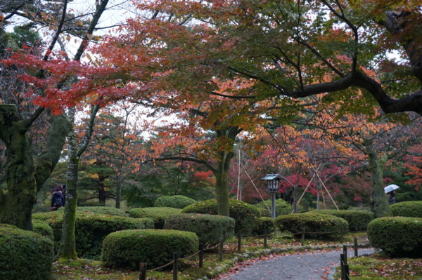 f:id:gzutetsu:20161109140455j:image