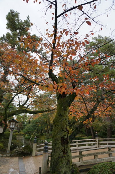 f:id:gzutetsu:20161109140532j:image
