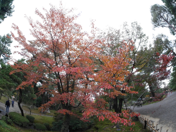 f:id:gzutetsu:20161109140733j:image