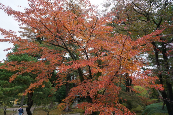 f:id:gzutetsu:20161109141233j:image