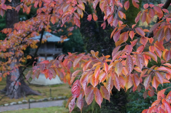 f:id:gzutetsu:20161109141401j:image