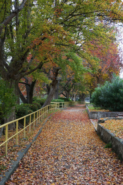 f:id:gzutetsu:20161120135744j:image