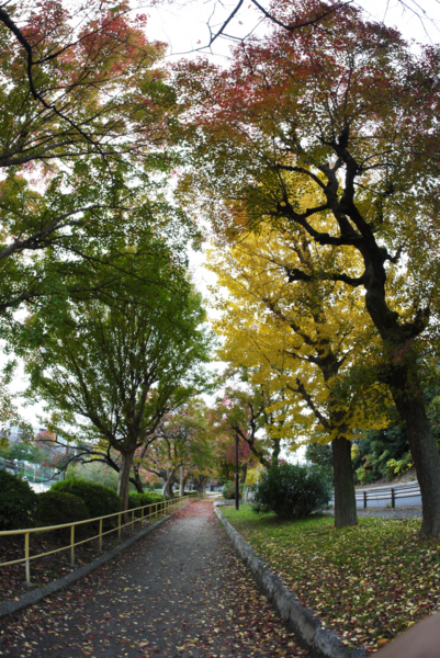 f:id:gzutetsu:20161120141209j:image
