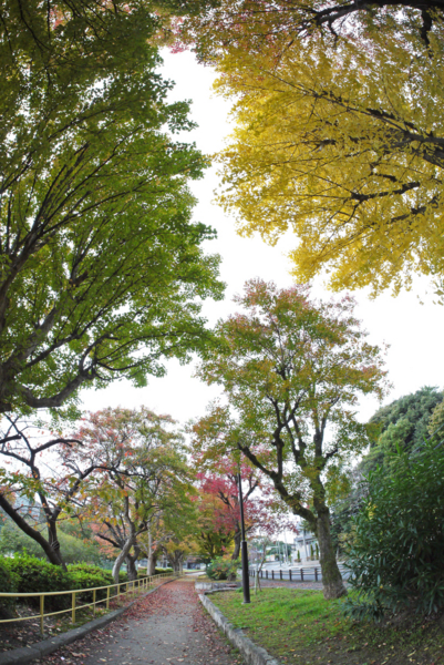 f:id:gzutetsu:20161120141730j:image