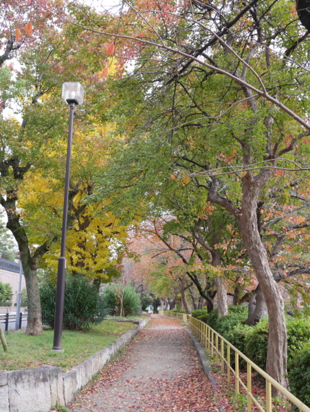 f:id:gzutetsu:20161120142157j:image