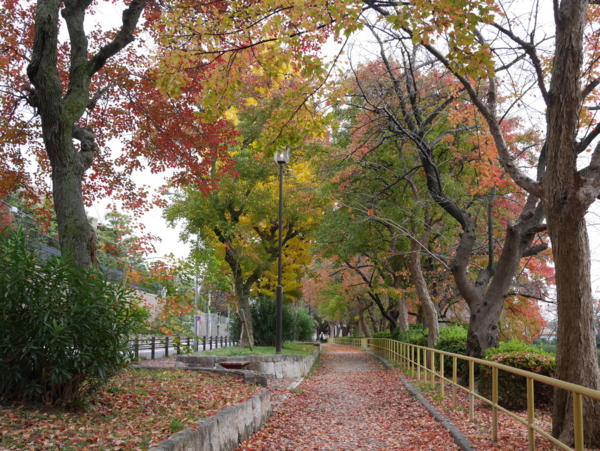 f:id:gzutetsu:20161120142700j:image